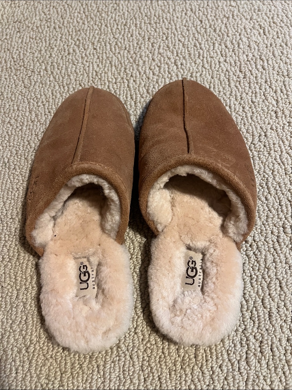 UGG Women's Chestnut Suede Shearling Slipper Scuff Mules